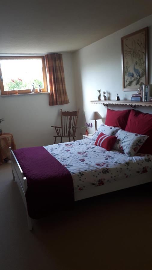 Friedland  Bed & Breakfast Elseline المظهر الخارجي الصورة
