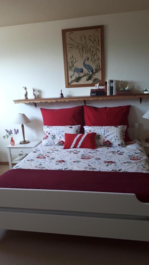 Friedland  Bed & Breakfast Elseline المظهر الخارجي الصورة